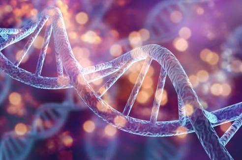 Designer Genes from Canva